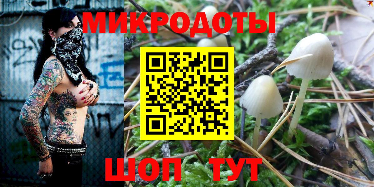 Котовск  Псилоцибиновые грибы GOLDEN TEACHER  Вход с VPN 